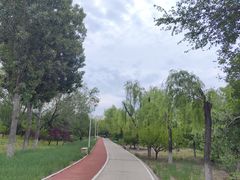 -绿堤公园
