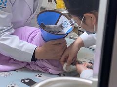 -谐和益家动物医院·免疫绝育·血液透析·宠保定点医院(高新伊藤分院)