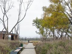 -白鹭湾湿地公园