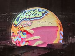 -拉斯维加斯永利酒店