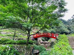 -鼓岭旅游度假区