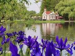 -上海共青森林公园