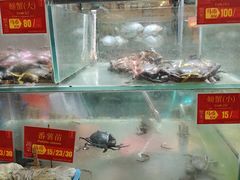 -大茄来海鲜餐厅(亚洲城分行)