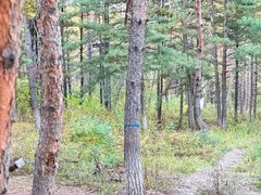 -帽儿山国家森林公园