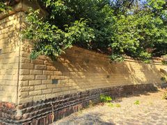 -金山植物公园