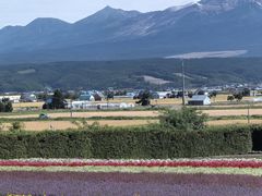 -富田农场