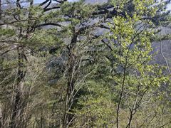-明堂山风景区
