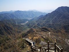 -大岭沟猕猴桃谷风景区
