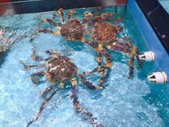 -尚海豆捞(乐虹坊店)