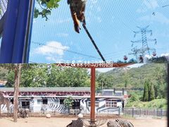 -大连森林动物园