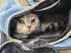 -联合动物医院(光谷诊疗中心)