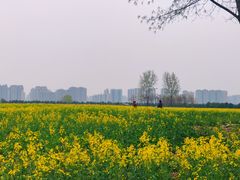 -汉长安城未央宫国家考古遗址公园