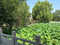 -莲池书院博物馆