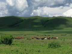 -塞罕坝国家级自然保护区