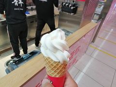 -蜜雪冰城(鸟巢店)