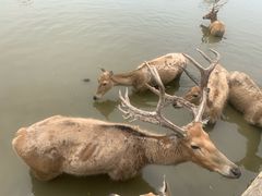 -宁波杭州湾国家湿地公园