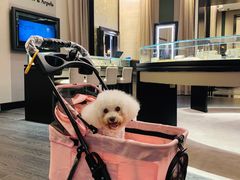 -梵克雅宝(国贸商城店)