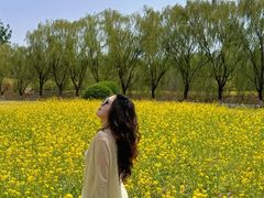 -天津武清北运河郊野公园房车露营地