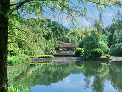 -云溪植物园
