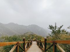 -大岭沟猕猴桃谷风景区