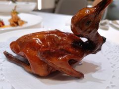 金牌玻璃乳鸽-茗鼎汇(星方汇广场店)