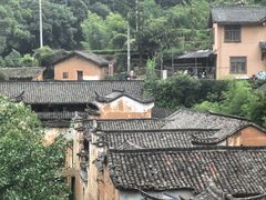 -杨家堂村
