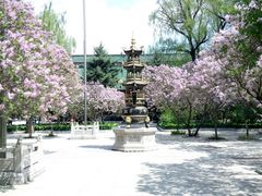 -哈尔滨极乐寺