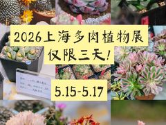 -瑞虹新天地月亮湾