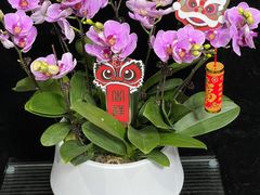 -拾花记花艺·求婚·订婚·生日布置(高新店)
