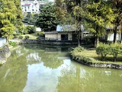 -爱帝宫月子中心(罗湖别墅院)