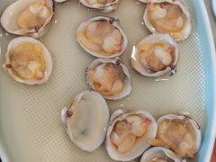 -喜鼎海胆水饺(东港店)