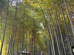 -宝岩生态观光园