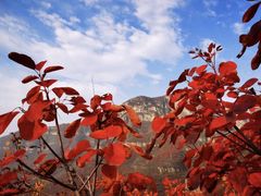 -狼牙山风景区