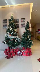 -Yestar杭州艺星医疗美容医院