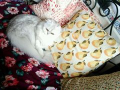 -广州迷途主题旅馆(海珠广场店)