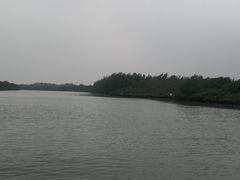 -东寨港红树林旅游区