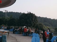 -金水泊山庄·花椒鸡(铁山坪店)