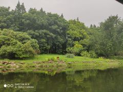 -上海共青森林公园