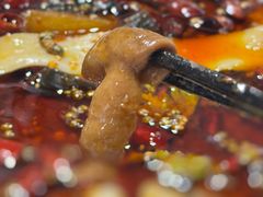 -晓彭肥肠鸡·泡椒鸡火锅(水木天地店)