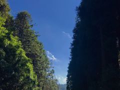 -武陵山森林公园