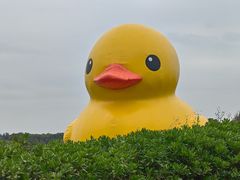 -深圳人才公园