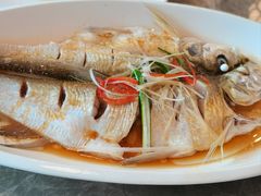 清蒸白水鱼-状元楼(金溪路店)