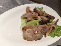 -张凯达·深海石斑鱼潮汕火锅(十五年品牌•虹桥天街店)