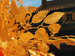 -南京市江宁方山