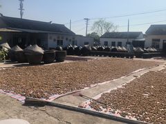 -苏州市吴中区光福窑上花果蜜饯厂