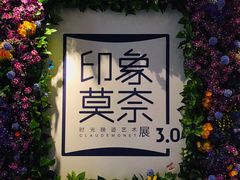 -印象莫奈时光映迹艺术展