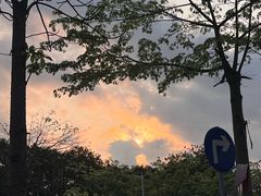 -阳台山森林公园