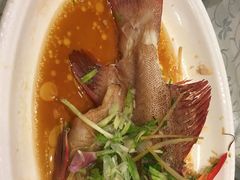 -六婶西关小厨(光塔路店)