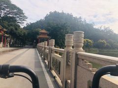 -顺峰山公园