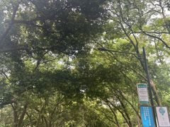 -广州市白云山风景名胜区